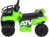 Vehicle Quad Storm Green