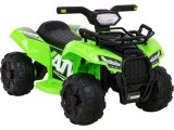 Vehicle Quad Storm Green