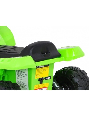 Vehicle Quad Storm Green