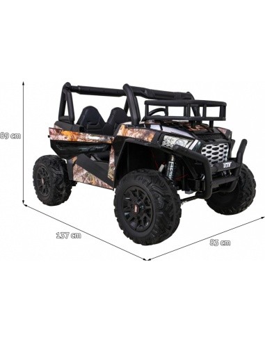 Vehicle Buggy UTV Black