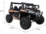 Vehicle Buggy UTV Black