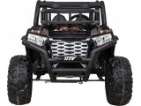 Vehicle Buggy UTV Black