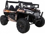 Vehicle Buggy UTV Black
