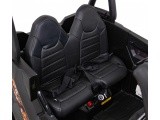 Vehicle Buggy UTV Black
