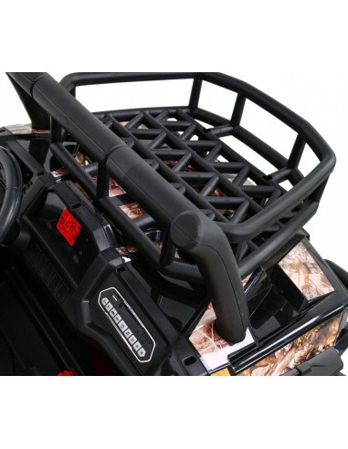 Vehicle Buggy UTV Black