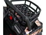 Vehicle Buggy UTV Black