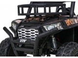 Vehicle Buggy UTV Black