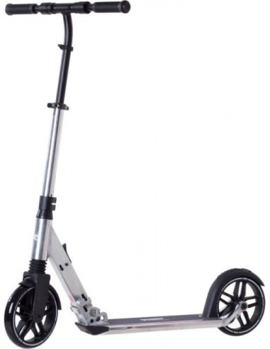 Miesto paspirtukas Rideoo 200 PRO, sidabrinės spalvos