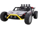 Vehicle Buggy Racing 5 Grey