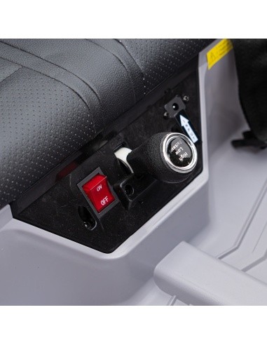 Vehicle Buggy Racing 5 Grey