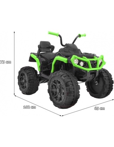 Quad ATV Black And Green
