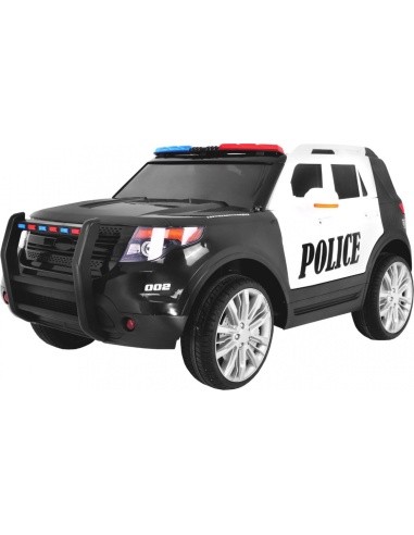 Visureigių policija