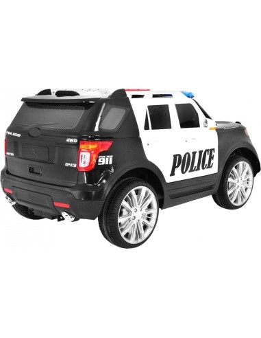 Visureigių policija