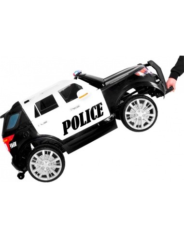 Visureigių policija