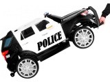 Visureigių policija