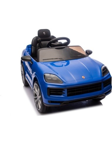 Transporto priemonė Porsche Cayenne Blue