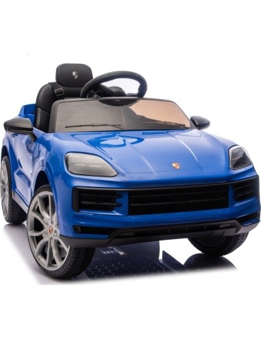 Transporto priemonė Porsche Cayenne Blue
