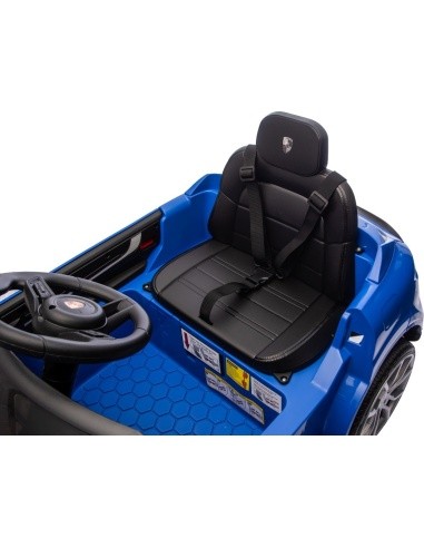 Transporto priemonė Porsche Cayenne Blue