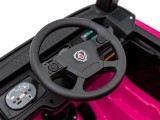 Scania R-SERIE vehicle Pink
