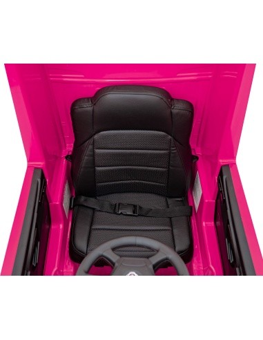 Scania R-SERIE vehicle Pink