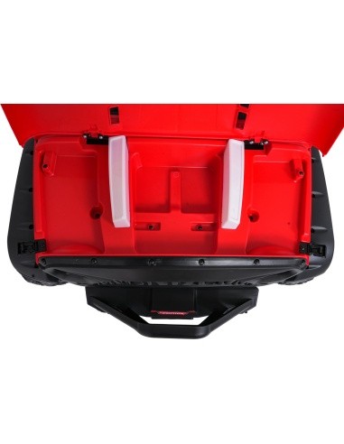 PASSION 4x4 Off-Road Vehicle Red