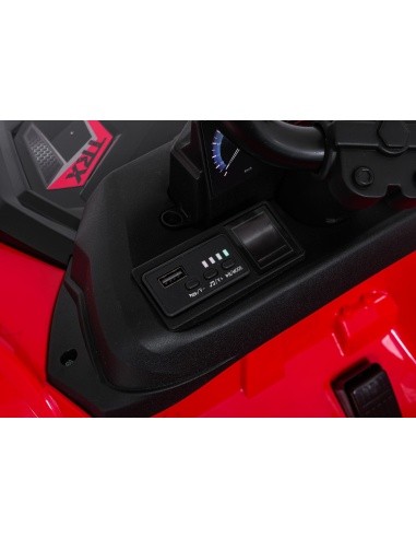 Keturratis sportas TX ATV Raudona