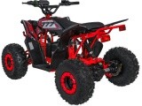 Quad Vehicle DESERT STORM LIFT Red
