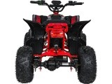 Quad Vehicle DESERT STORM LIFT Red