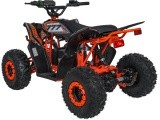 Quad Vehicle DESERT STORM LIFT Orange