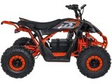 Quad Vehicle DESERT STORM LIFT Orange