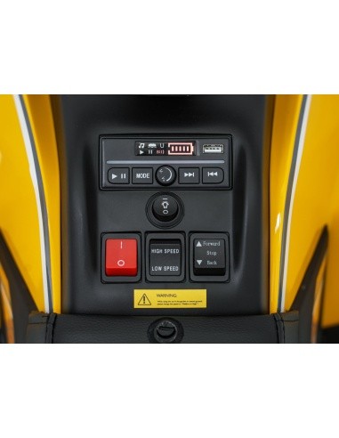 Quad Fast Wheel Vehicle Yellow