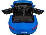 Perfecta Vehicle Painted Blue