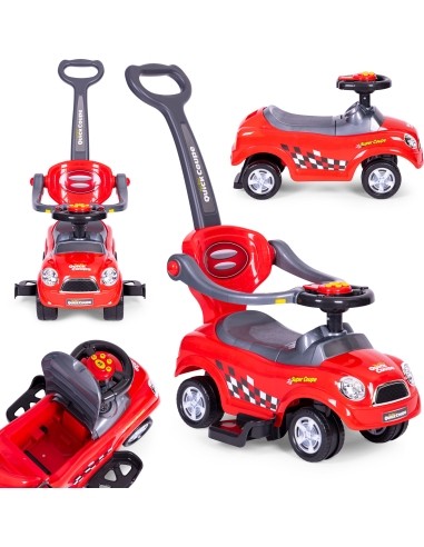 Pusher Car Ecotoys Purple