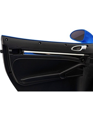 Perfecta Vehicle Painted Blue