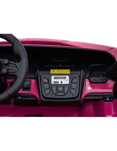 Lamborghini Revuelto XL STRONG Pink Vehicle