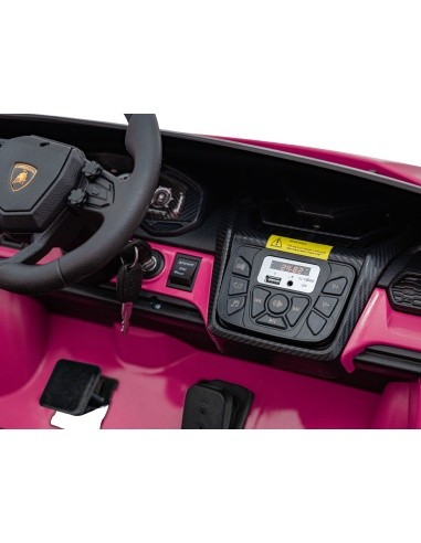 Lamborghini Revuelto XL STRONG Pink Vehicle