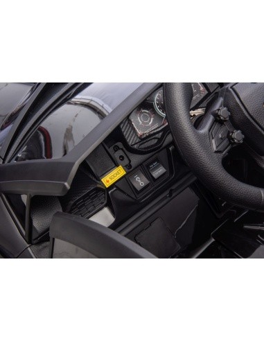 Lamborghini Revuelto XL Black vehicle