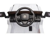 Off Road Vehicle MOUNTAIN White