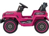 Visureigis MOUNTAIN Pink