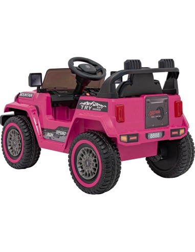 Visureigis MOUNTAIN Pink