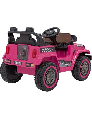 Visureigis MOUNTAIN Pink