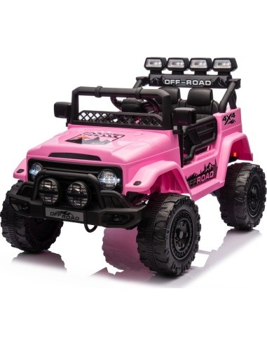 Visureigio CLIMBER transporto priemonė Rausva
