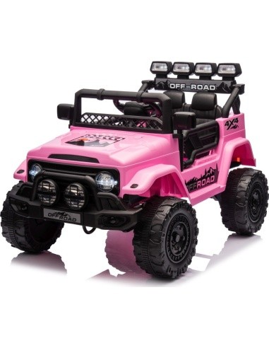 Visureigio CLIMBER transporto priemonė Rausva