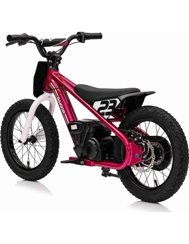Variklis BAIGOR 23 PRO Pink