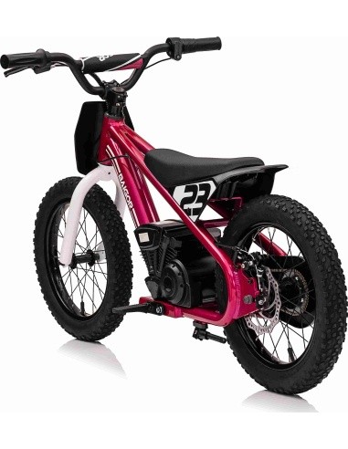 Variklis BAIGOR 23 PRO Pink