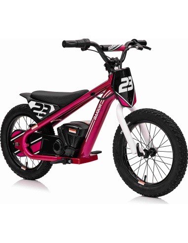 Variklis BAIGOR 23 PRO Pink