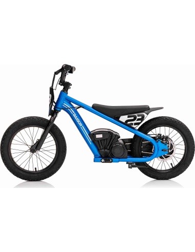 Variklis BAIGOR 23 PRO Blue