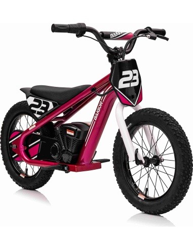 Variklis BAIGOR 23 PRO Pink