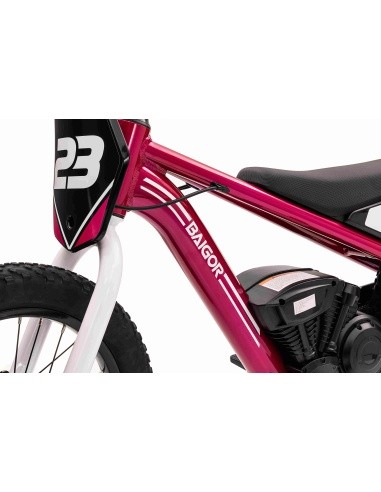 Variklis BAIGOR 23 PRO Pink