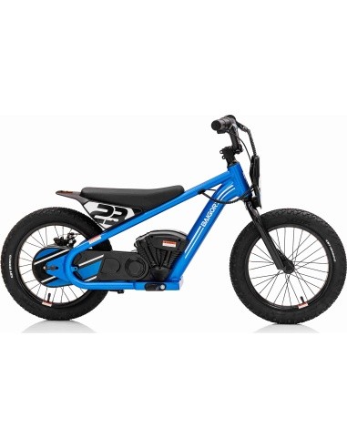 Variklis BAIGOR 23 PRO Blue